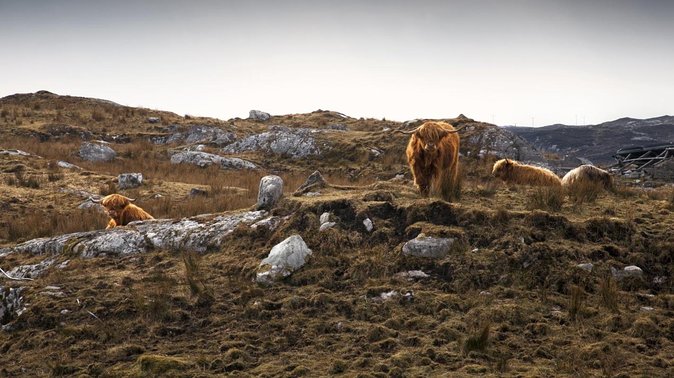 3-Day Hebrides Tour from Inverness: Isles of Lewis and Harris - Key points to know before you book
