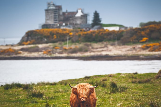 3-Day Isle of Mull and Iona Small-Group Tour from Glasgow - Optional Staffa: Fingal’s Cave and a close look at sea life
