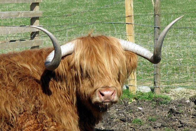3-Day Isle of Skye and Highlands Tour from Glasgow - What $416.68 buys you