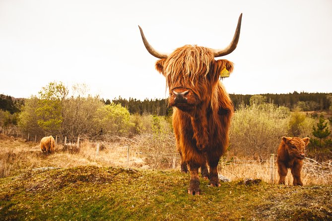 3-Day Isle of Skye and Scottish Highlands Small-Group Tour from Glasgow - How to prepare for the best three days