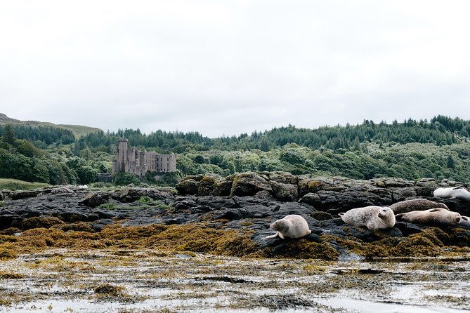 3-Day Isle of Skye, 'Hogwarts Express' Train and Highlands Tour - Day three: castles, rewilding, and Loch Ness