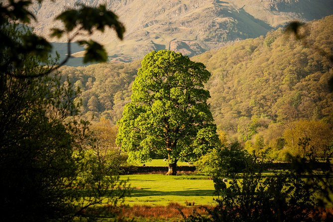3-Day Lake District Explorer Small-Group Tour from Edinburgh - Who gets the most from this tour