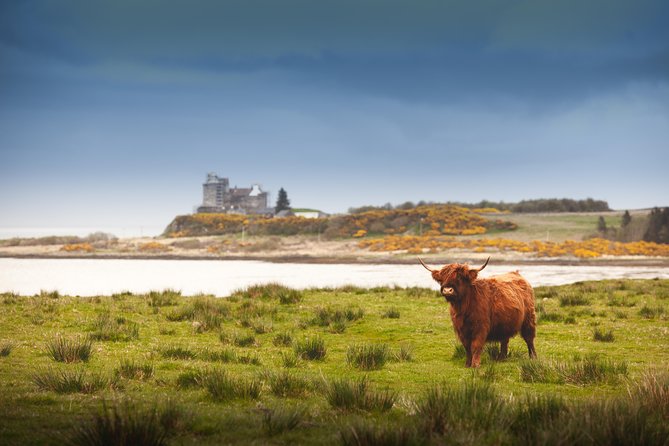 4-Day Magical Mull, Iona & West Highlands Small-Group Tour from Edinburgh - Day Four: Inveraray, Luss, and the Route Back