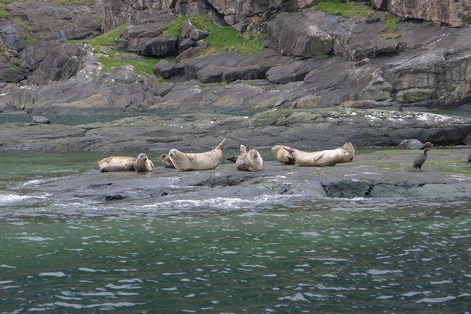 5-Day Best of Scotland Experience from Glasgow - The real cost of a fast Highland tour