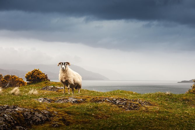 5-Day Iona, Mull and the Isle of Skye Small-Group Tour from Edinburgh - Day two: Iona’s abbey or Staffa’s basalt cliffs
