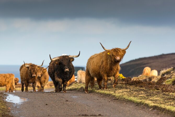 8 Day Isle of Skye, Orkney & North Coast 500 tour from Edinburgh - Day 1: Dunkeld, Culloden, and the Jacobite past