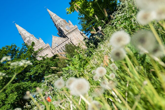 Aberdeen Historical Walking Tour - Timing, meeting point, and what to bring