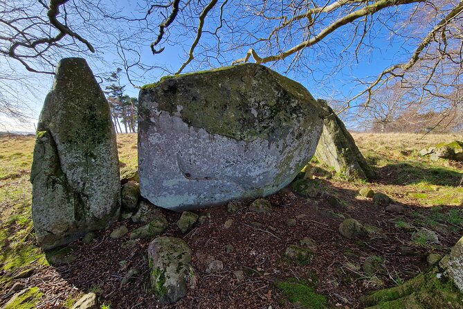 Aberdeen's Ancient Heritage and Folklore - Price, group size, and what you get for $135.49