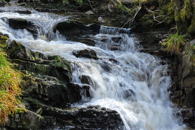 Alternative Loch Ness Tour by Secret Highlands - Plodda Falls and the optional plunge pool