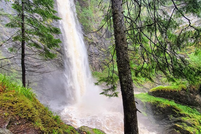 Alternative Loch Ness Tour by Secret Highlands - Jamie’s guiding style and the value of a tiny group
