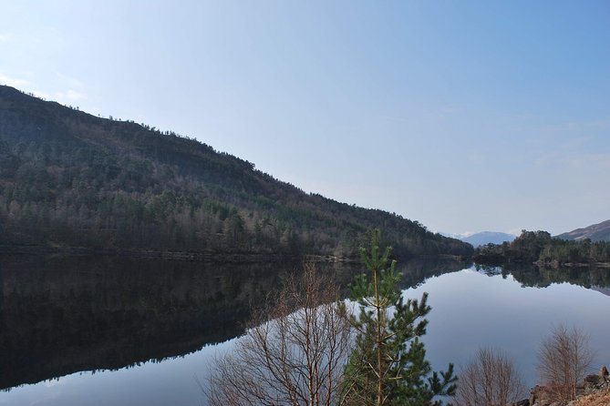 Alternative Loch Ness Tour by Secret Highlands - Glen Affric: an hour among ancient pines