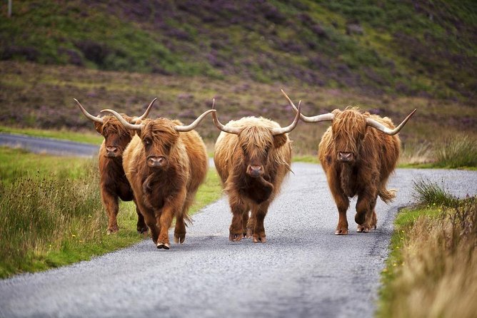 Bespoke 5 day Tour - your personal itinerary - Day five: Dunrobin Castle and Scotland’s far north