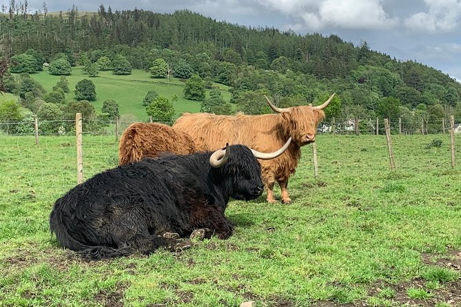 Central Highlands lochs Stirling Whisky private driving - What this private Edinburgh day tour actually covers