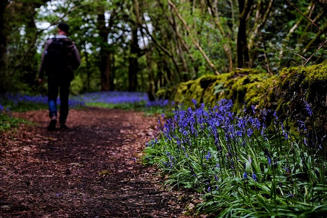 Central Scotland Driving Tour - Stirlingshire (Private) - Loch Lubnaig, Loch Voil, and room for a custom route