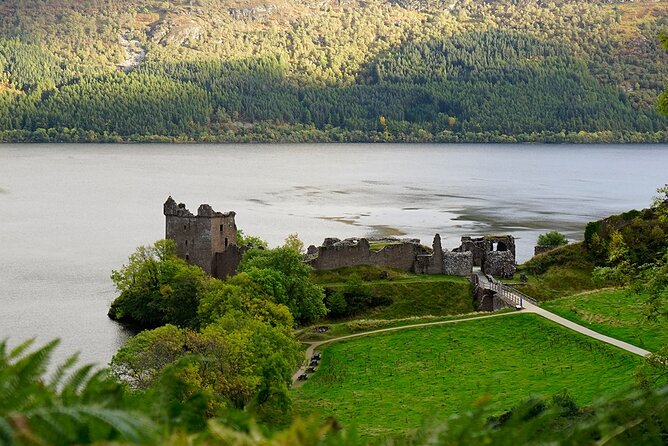 Culloden, Loch Ness + More - Highland cows and local produce at Beauly