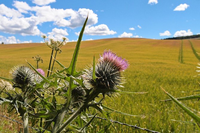 Cycle To Loch Ness - Self Guided - Returning to Inverness without rushing