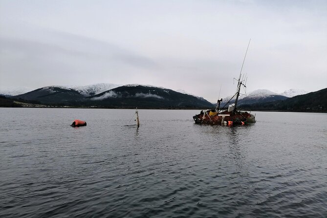 Doon The Watter - Dunoon from the water