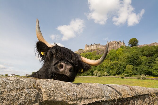 Edinburgh: Loch Lomond, Stirling Castle and the Kelpies Day Tour - What this Edinburgh day tour really offers