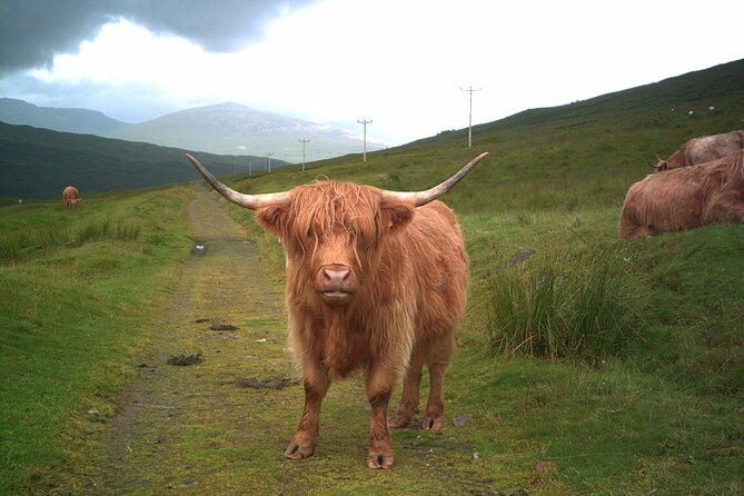 Edinburgh: Private Loch Ness Glencoe and The Highlands Tour - Rannoch Moor and Glencoe in 20 minutes