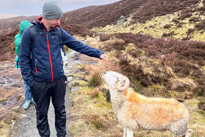 English Speaking Homestay Exploring Edinburgh and National Parks - A homestay that makes English part of the trip
