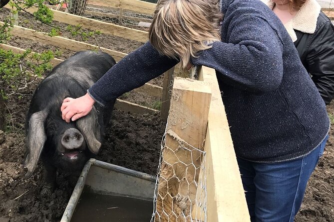Errichel Farm Tour - Meeting Becky and getting started at 10 a.m.