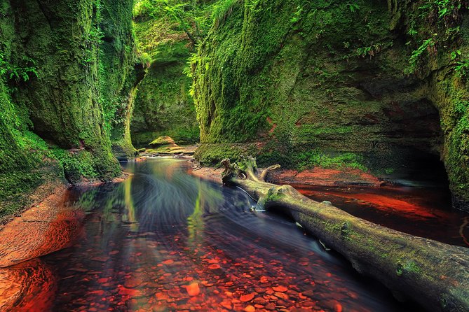 Find a hidden Glen in Scotland's woods - Key points before you book