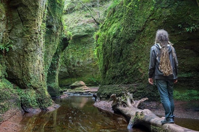 Find a hidden Glen in Scotland's woods - Leaving Glasgow at 9:30 am