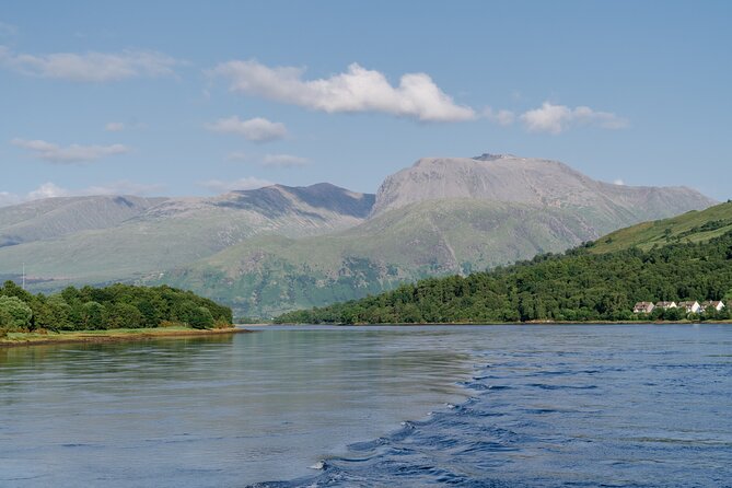 Fort William Evening Cruise - Wildlife Watching on Loch Linnhe