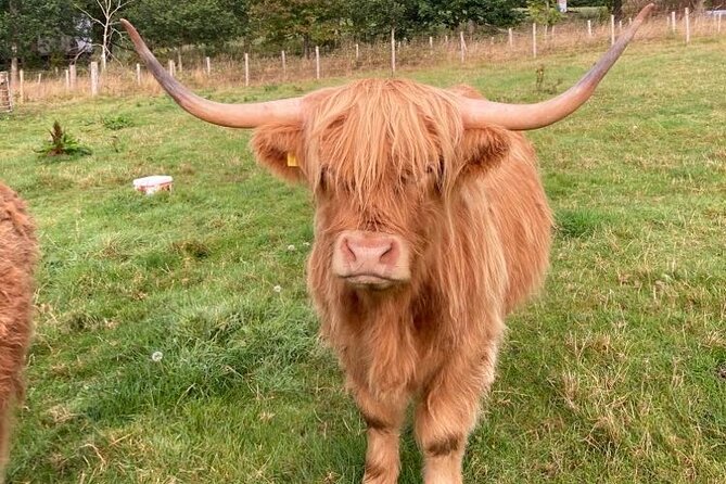 From Inverness visit Loch Ness, Culloden & Cawdor Castle Day Tour - Clava Cairns links ancient stones with modern fiction