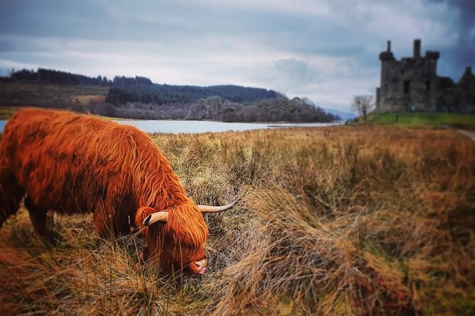 Full Day Private Tour in West Highlands, Oban and Glencoe - Kilchurn Castle and the short walk to the ruins