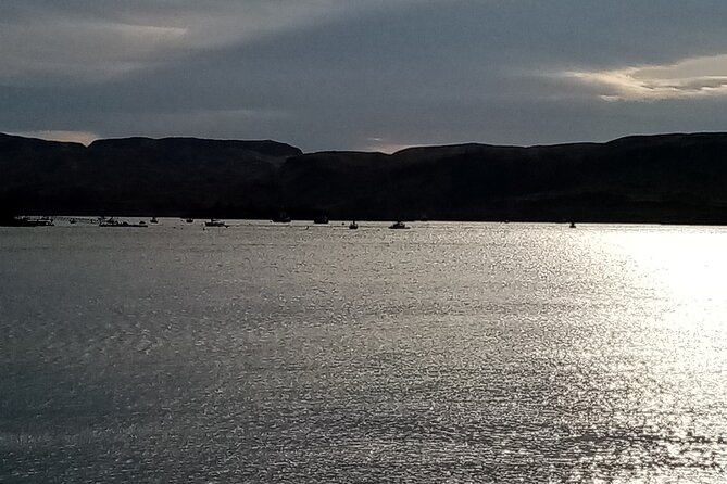 Full-Day Tour Loch Lomond, Stirling Castle and The Trossachs - Loch Lomond arrives through Luss