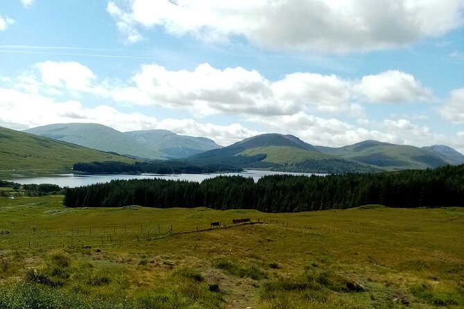 Full-Day Tour to the Scottish Highlands - Kilmahog and the famous Highland cattle