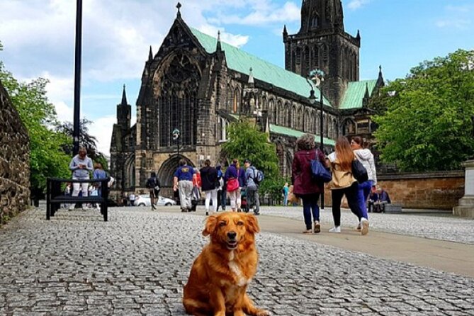 Gander Walking Tours in Glasgow - Why this three-hour Glasgow walk works