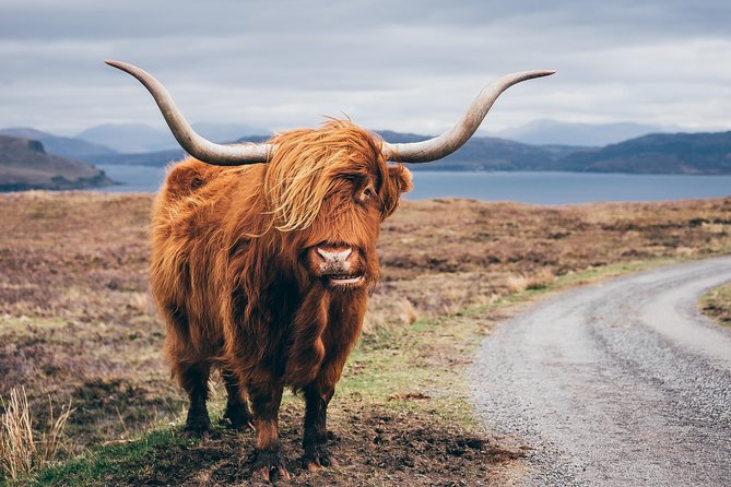 Glasgow: Isle of Skye, The Highlands and Loch Ness - 3 Day Tour - The guides make the long drives worthwhile