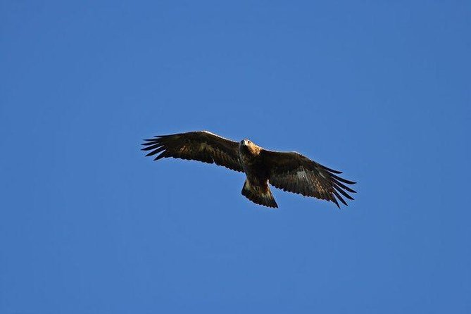 Glenaladale Cruise - Great for wizard spotting! - Why the Glenaladale Cruise makes sense for Glenfinnan