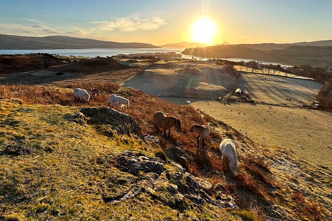 Guided Hebridean Farm Hike near Tobermory, Isle of Mull, Scotland - Is $47.99 good value for 90 minutes?