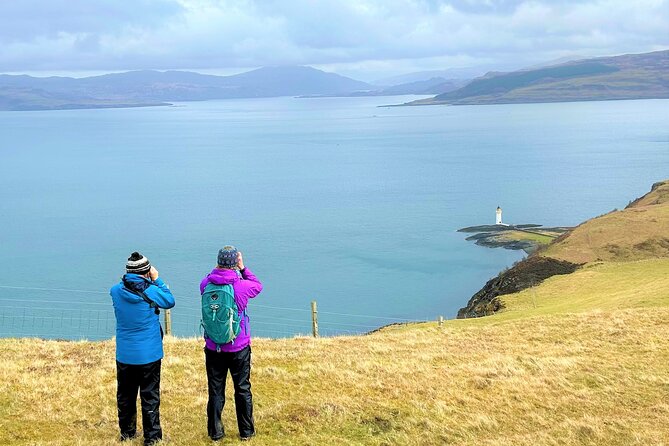 Guided Hebridean Farm Hike near Tobermory, Isle of Mull, Scotland - Highland ponies, Shetland sheep, goats, and horses