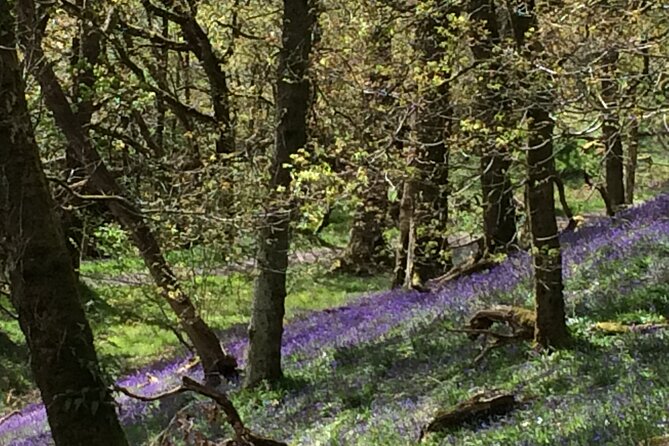 Half Day Loch Katrine Explorer Private Ebike Tour - Is $308.51 per person good value?