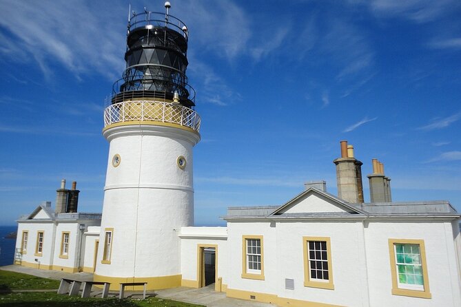 Half Day Private Tour with Puffins, Ponies and Past Shetland - Key points at a glance