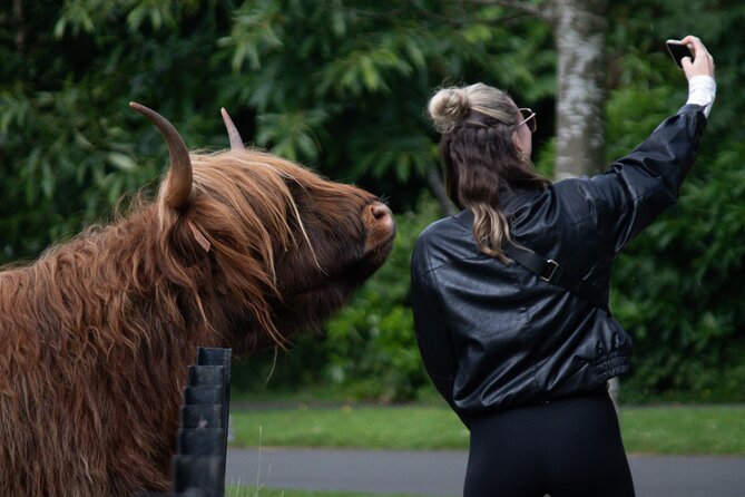 Highlands Cows Glencoe and Castles Private Tour from Glasgow - Oban, seafood-town atmosphere in one hour