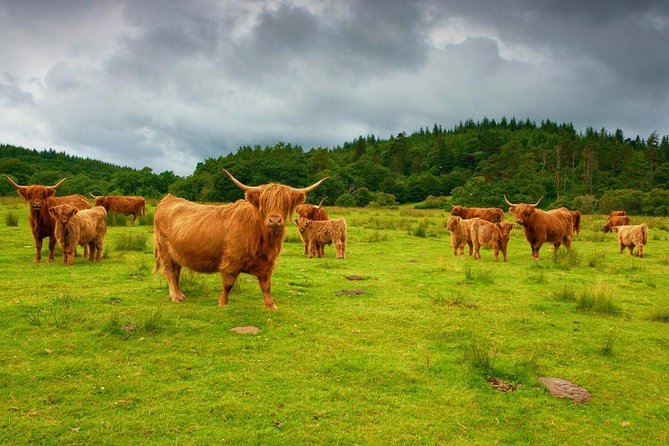 Highlights of Scotland Custom Private Tour from Edinburgh - Through the Trossachs by Duke’s Pass