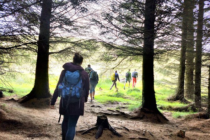 Hill & Nature Hike - Discover Real Edinburgh With a Local Expert - Reaching the summit and seeing Edinburgh from above