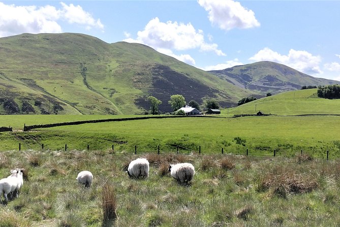 Hill & Nature Hike - Discover Real Edinburgh With a Local Expert - A guide who adds more than directions