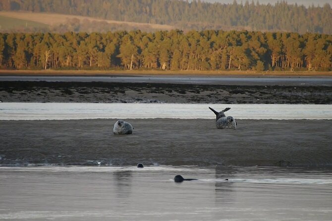 Invergordon cruise excursion Small Group Dunrobin Castle & More - Loch Fleet and the chance of seals