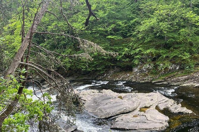 Invergordon or Inverness: Loch Ness Explorer Private Tour - Drumnadrochit, Nessie shops, and local attractions