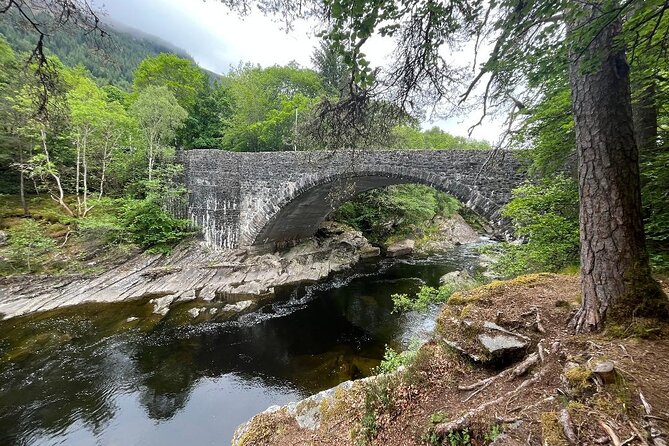 Invergordon or Inverness: Loch Ness Explorer Private Tour - Who will get the most from this day
