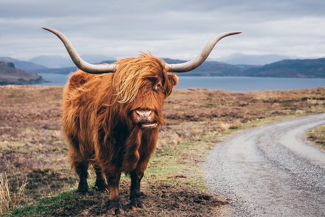 Inverness: Applecross, Loch Carron & the Wild Highlands - The vehicle, group size and comfort
