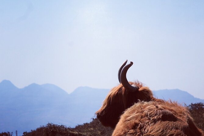 Isle of Skye and Fairy Pools Day Tour leaving from Portree - Key points to know before booking