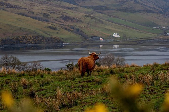 Isle of Skye and the Fairy Pools Tour - Leaving Inverness for Loch Ness