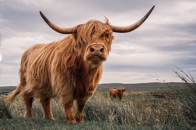 Isle of Skye Day Tour from Fort William - Why this Fort William to Skye trip works
